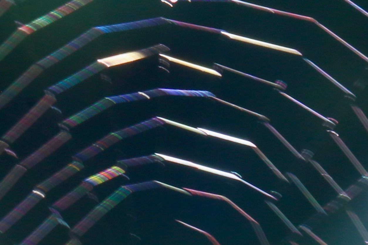 Spinnenweb met dauw - foto Nelleke Heinkels